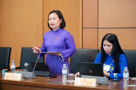Đại biểu Quốc hội thành phố Hải Phòng góp ý 3 dự thảo luật