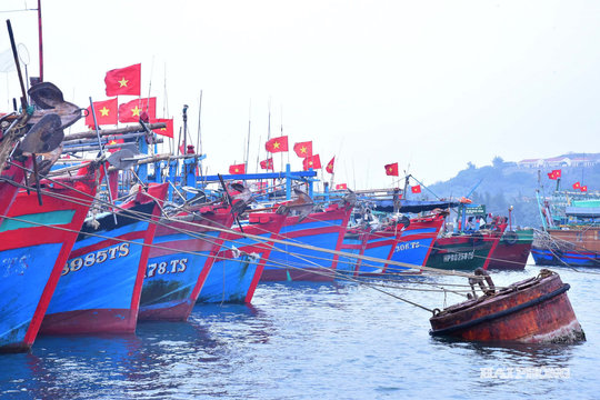 Ngân hàng Thế giới 'tiếp sức' hạ tầng và sinh kế ven biển Việt Nam