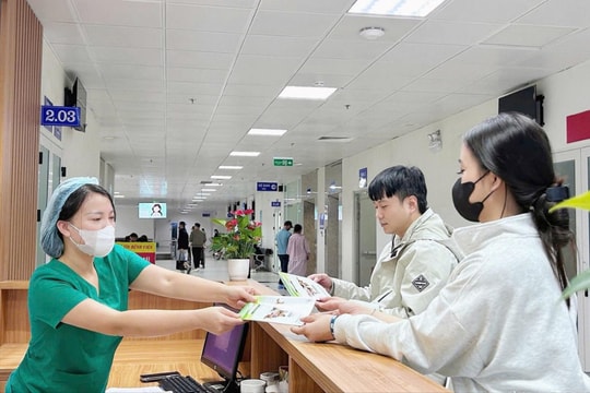 Triển khai kế hoạch thực hiện Nghị định về xử phạt vi phạm y tế