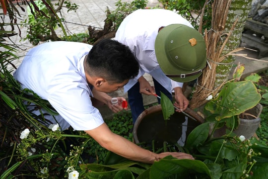 Chặn dịch sốt xuất huyết từ cơ sở