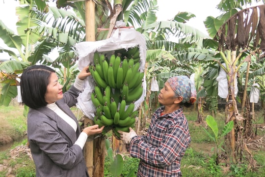 Xuất khẩu nông sản chưa xứng với tiềm năng