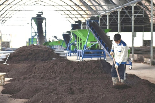 Liên kết tạo lực cho hợp tác xã