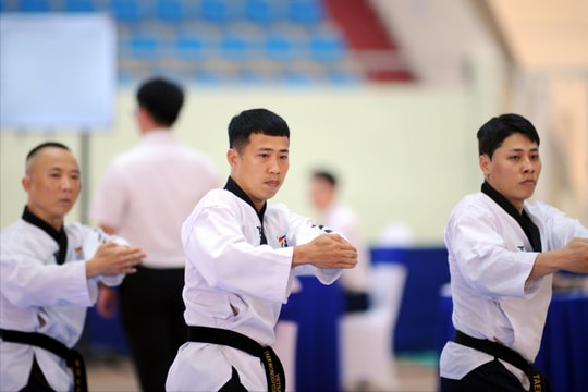 183 vận động viên thi đấu Taekwondo tại Đại hội Thể dục thể thao thành phố