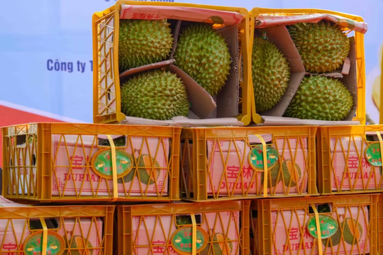 Trung Quốc tăng tốc thông quan trái cây Đông Nam Á