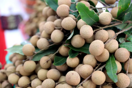 Tác dụng của loại quả quen thuộc được ví như 'siêu thực phẩm'
