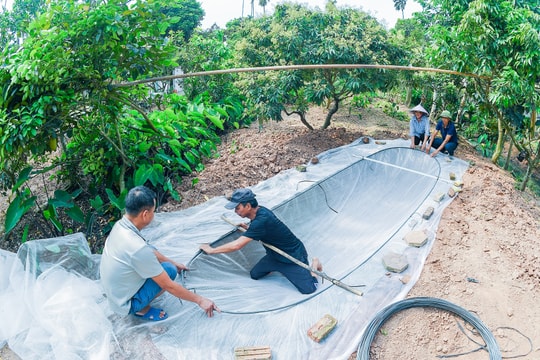 Bộ Nông nghiệp và Môi trường đề xuất cắt giảm mạnh thủ tục hành chính