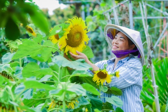 Khi nông dân làm du lịch