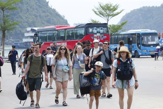Gỡ 'nút thắt' giao thông tại khu du lịch Cát Bà hè 2026