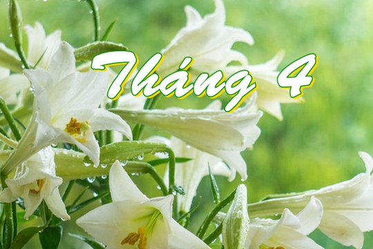 Ai gọi tháng tư về ?