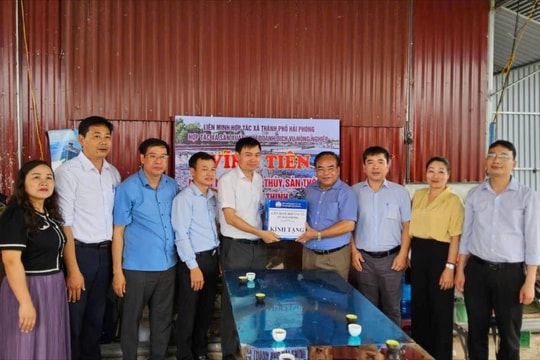 Hỗ trợ hợp tác xã đổi mới, phát triển