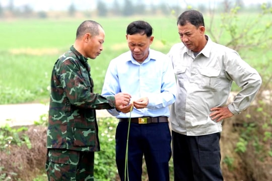 Hành trình gom ruộng, dựng lại sinh kế