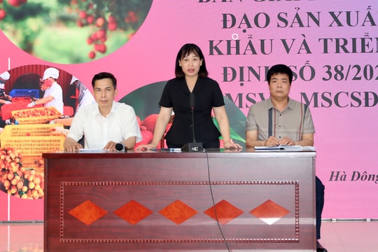 Hải Phòng quản lý chặt chẽ vùng vải xuất khẩu
