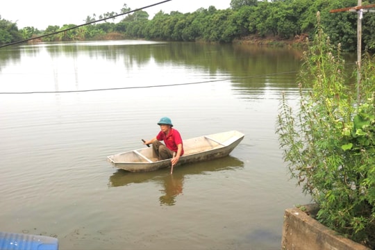 Nông trang Nam Bộ trên đất Bắc