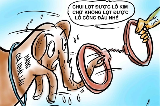 Hàng giả lách luật, khó lọt 'lỗ còng'
