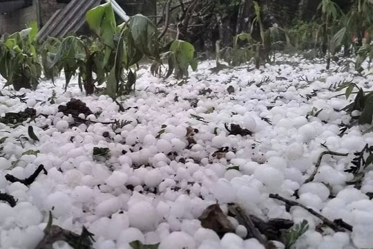 Bắc Bộ chuyển mát, có nguy cơ xuất hiện mưa đá