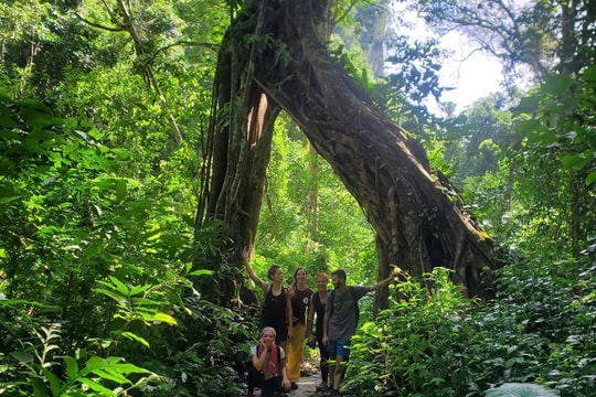 Trekking boosts green tourism in Hai Phong