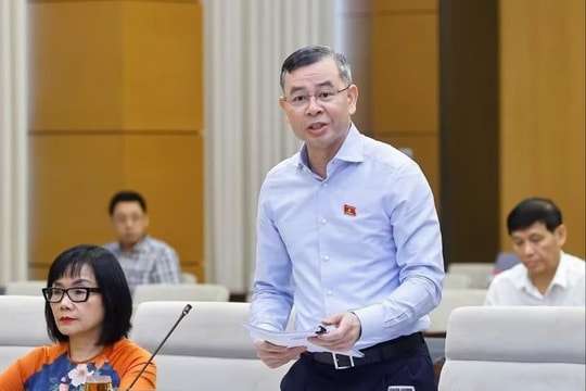 Rà soát kỹ việc giao quy định ngưỡng doanh thu miễn thuế với hộ kinh doanh