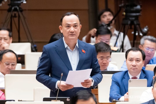 Đại biểu Quốc hội Hải Phòng góp ý nhiều nội dung