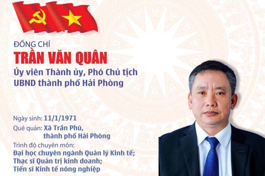 Tóm tắt quá trình công tác của Phó Chủ tịch UBND thành phố Trần Văn Quân
