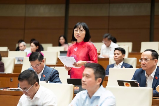 Đại biểu Nguyễn Thị Việt Nga nêu nhiều vấn đề về bình đẳng giới