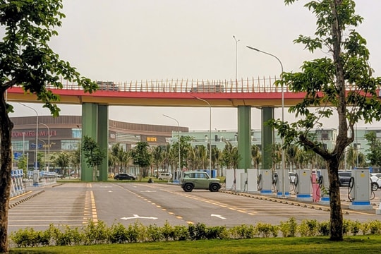 Hải Phòng dự kiến áp dụng thống nhất lệ phí trước bạ ô tô dưới 9 chỗ mức 12%