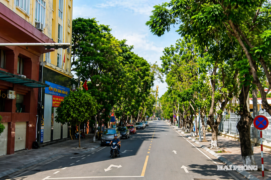 Tổ chức lại giao thông khu vực trung tâm thành phố Hải Phòng