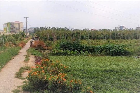 Tăng tốc giải phóng mặt bằng khu đô thị An Đồng - Đồng Thái