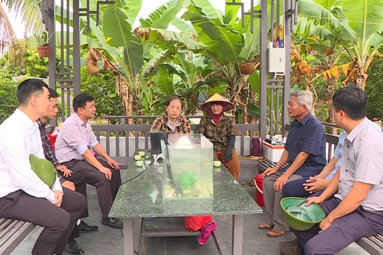 Bám sát tiến độ Dự án cụm công nghiệp Tiên Cường III