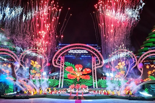 Vibrant spirit of Hai Phong Red Flamboyant Festival