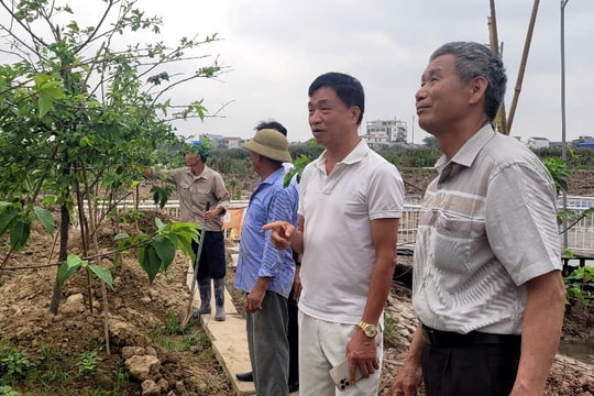 Văn hóa hợp tác, 'chìa khóa' phát triển kinh tế tập thể