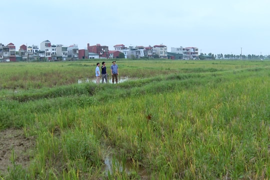 Mặt bằng khu dân cư mới xã Yết Kiêu sẽ xong trong tháng 5