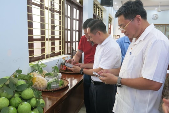 Triển khai hệ thống truy xuất nguồn gốc nông sản Hải Phòng