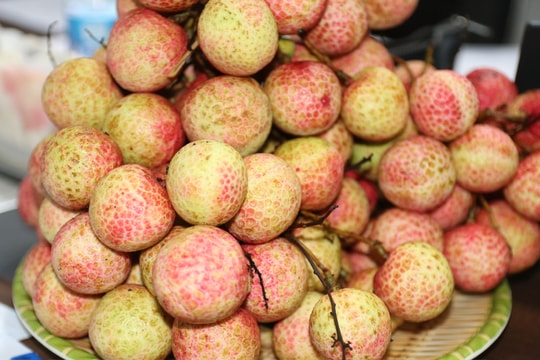 Vải sớm xuất khẩu có giá từ 130.000 - 150.000 đồng/kg