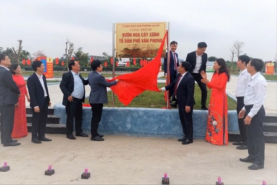 An Hải đưa 3 công viên vào sử dụng, mở rộng không gian xanh cho người dân