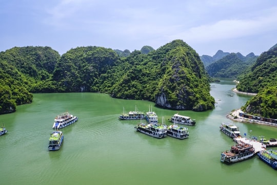 Master plan for Do Son – Cat Ba areas adjusted