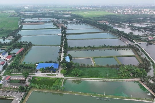 Nuôi cá công nghệ cao ở Tân Kỳ