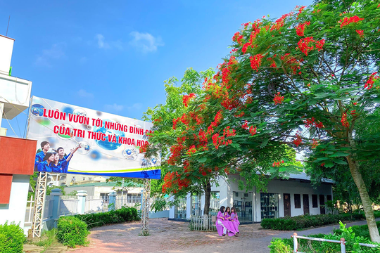 Màu hoa phượng