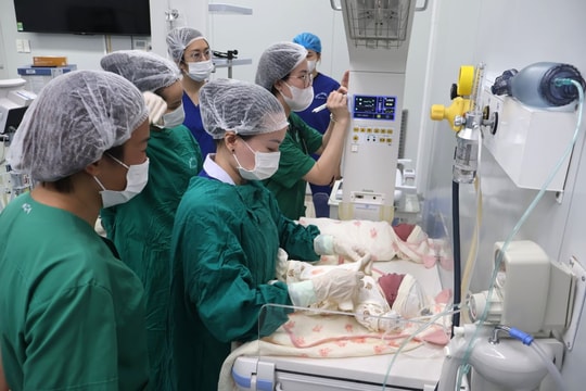 Chủ động giữ vững mức sinh thay thế