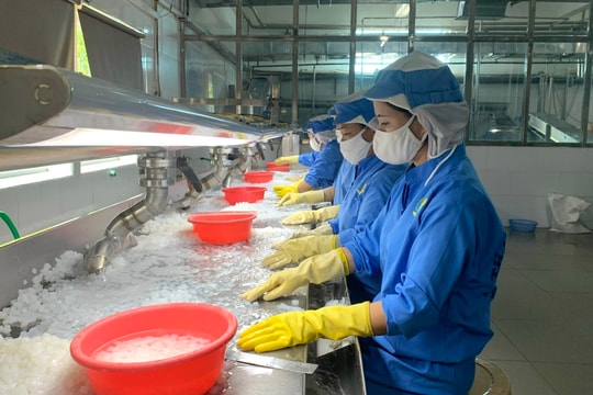 Kim ngạch xuất khẩu của Hải Phòng tăng 26,2%
