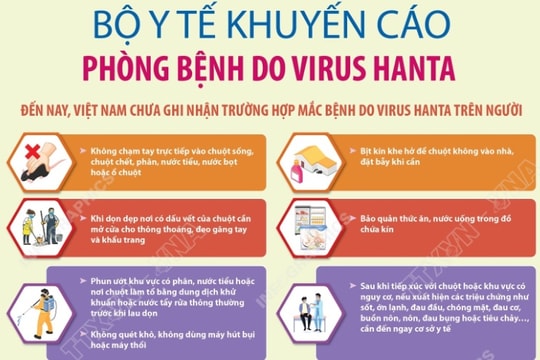 Bộ Y tế khuyến cáo phòng bệnh do virus Hanta