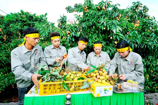 Phát huy giá trị của nhãn hiệu chứng nhận, nhãn hiệu tập thể