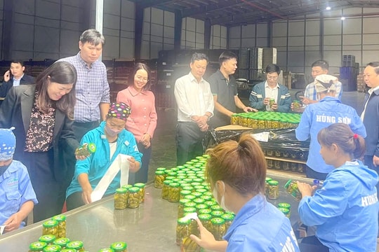 Xã Khúc Thừa Dụ đặt mục tiêu có từ 65 doanh nghiệp vào năm 2030
