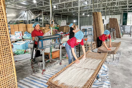 Hải Phòng thuộc nhóm dẫn đầu về tăng trưởng vốn tín dụng chính sách
