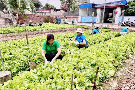 Khởi nghiệp xanh, hướng đi bền vững