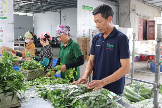 Traceability and intellectual property protection help enhance the value of Vietnamese agricultural products