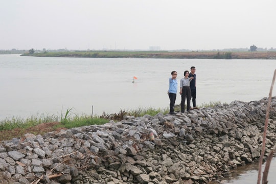 Kè Xạ Sơn trên đê sông Kinh Thầy xung yếu