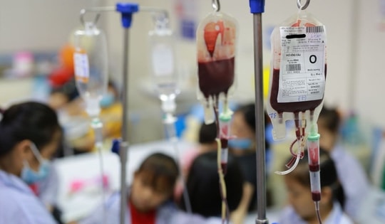 Việt Nam có trên 12 triệu người mang gen bệnh tan máu bẩm sinh Thalassemia