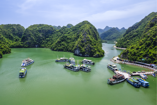 Yêu một Hải Phòng