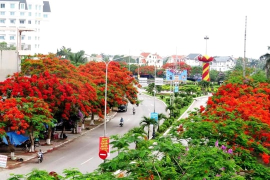 Check-in tuyến đường nhiều hoa phượng nhất Việt Nam