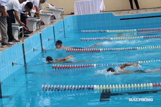 Gần 1.300 vận động viên tham gia Giải Bơi học sinh thành phố